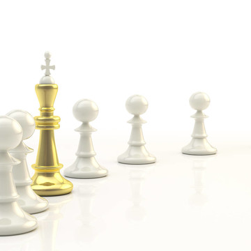 領(lǐng)導(dǎo)：輕棋背景
