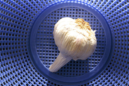 廚房里各種各樣的食物
