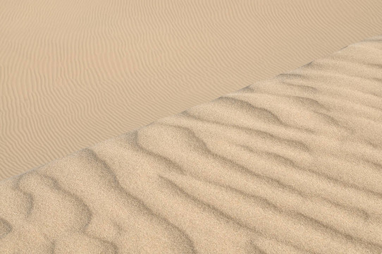 蕩漾在沙