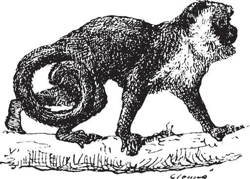 猴子復(fù)古雕刻