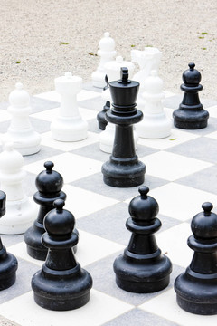 國(guó)際象棋；萊茵河畔的賓根；萊茵蘭-普法爾茨州；德國(guó)