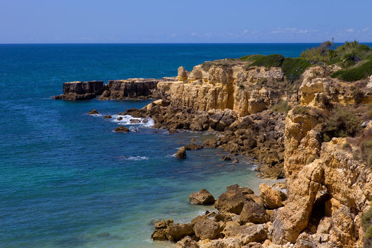 海岸