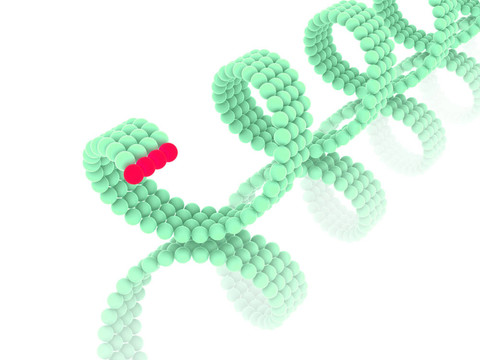 基因在DNA