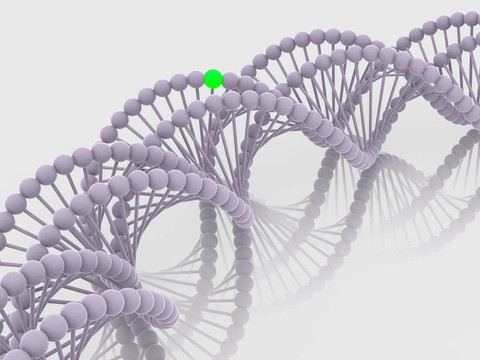 基因在DNA