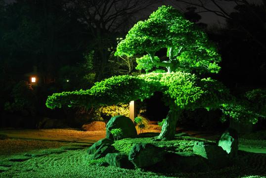 禪園夜