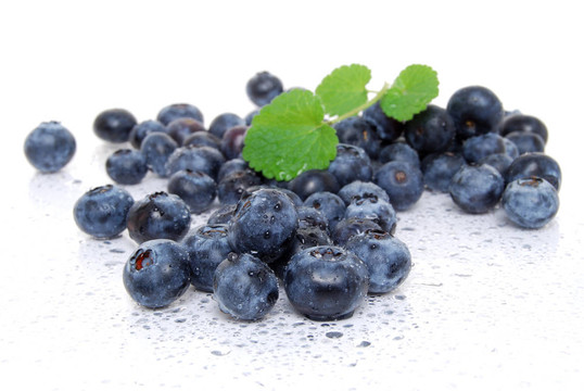 bluberry樁