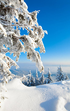 冬天的雪景