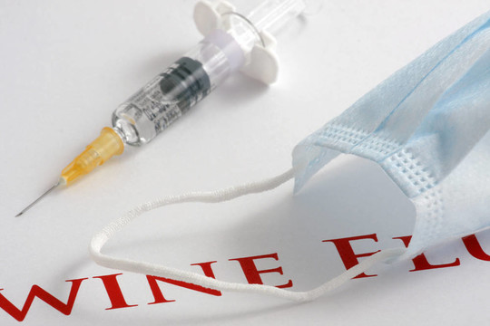 甲型H1N1流感病毒