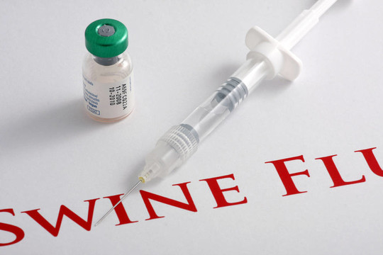甲型H1N1流感病毒