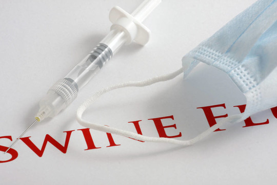 甲型H1N1流感病毒
