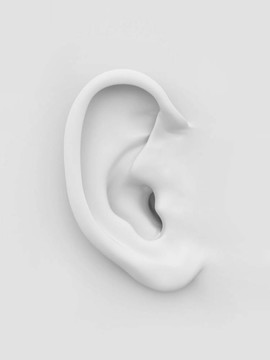 人耳白軟。3d