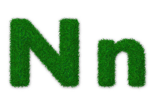 綠色的字母N