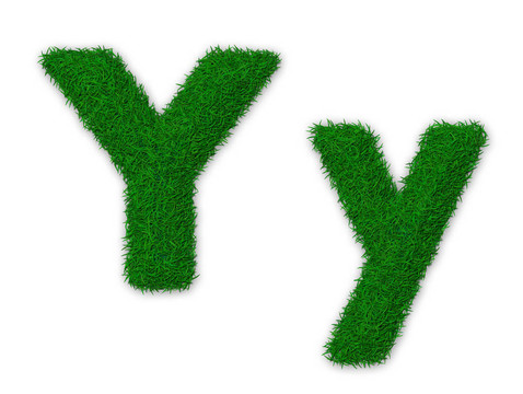 綠色的字母Y