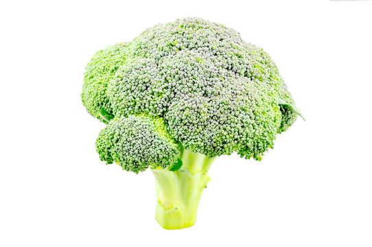 孤立的西蘭花