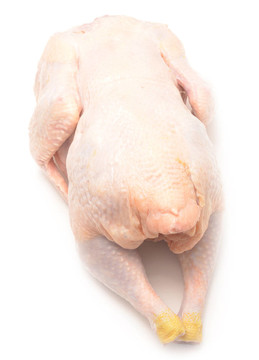 生雞肉