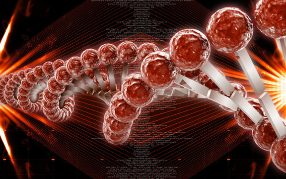 DNA
