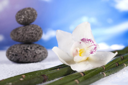蘭花和SPA