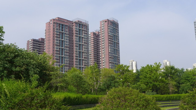 城市公園即景
