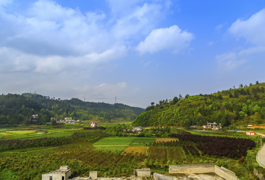 田園田野風(fēng)景