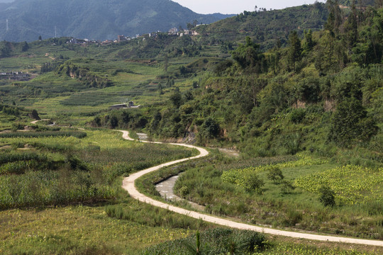灣灣山路