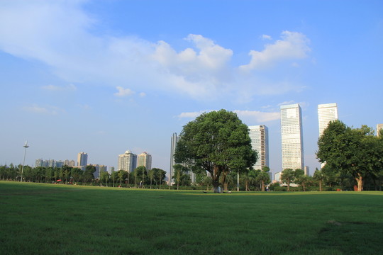 橘子洲大草坪露營地