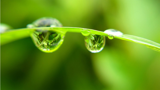 水珠透鏡