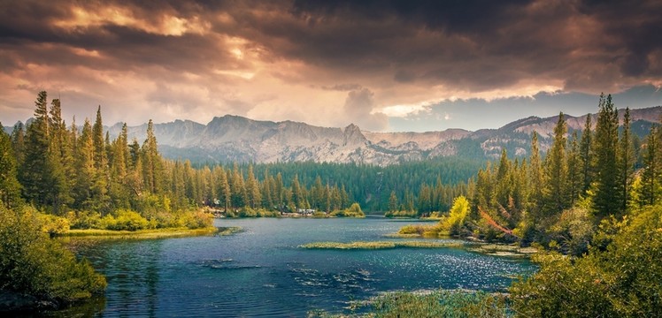 山