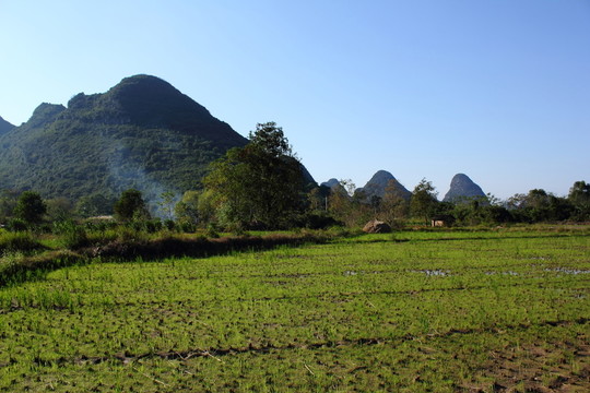 田園