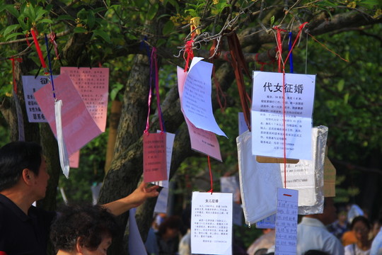 代女征婚代子征婚