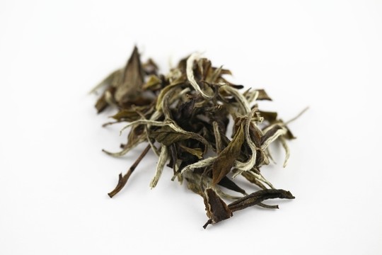 白茶