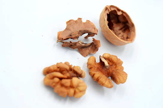 白色背景上剝開的核桃