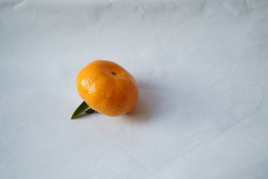帶葉子的桔子 橘子 橙子 柑橘
