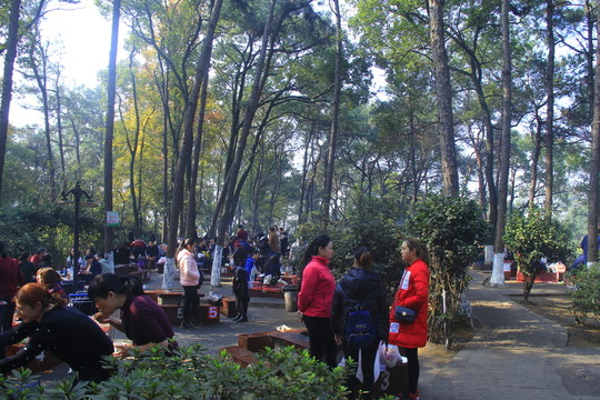 南郊公園燒烤園