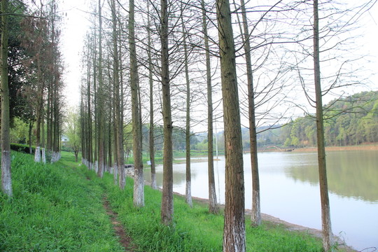 長(zhǎng)沙園林生態(tài)園