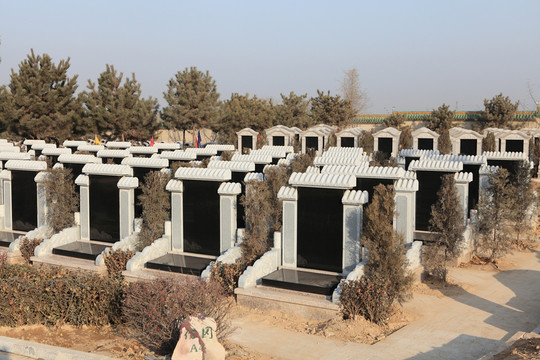 墓地墳地