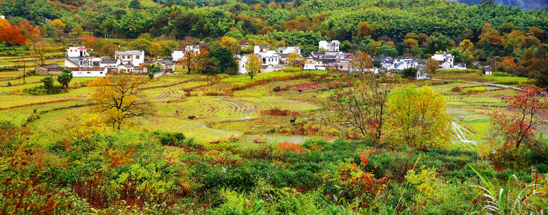 塔川秋色風(fēng)光  寬幅全景