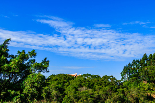 遠(yuǎn)方一座寺廟 綠樹(shù) 綠山 山景