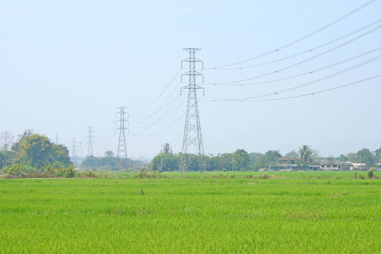 電崗田