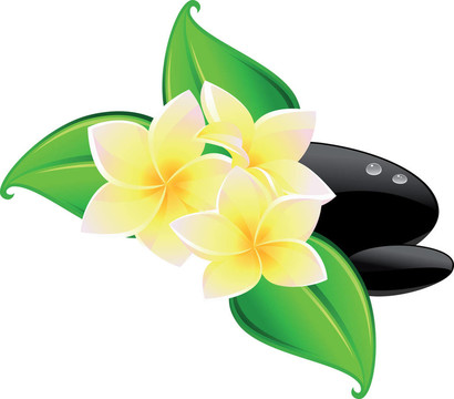 SPA和花