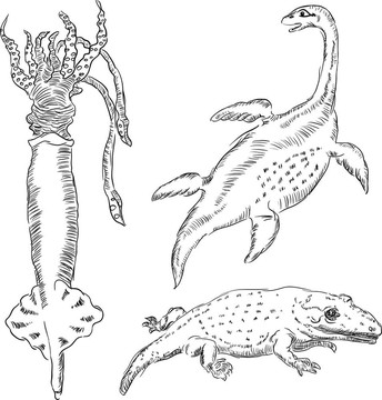 動物生物學(xué)
