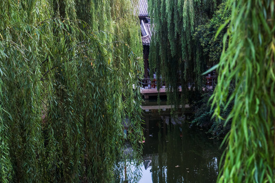 臺(tái)兒莊古城風(fēng)光