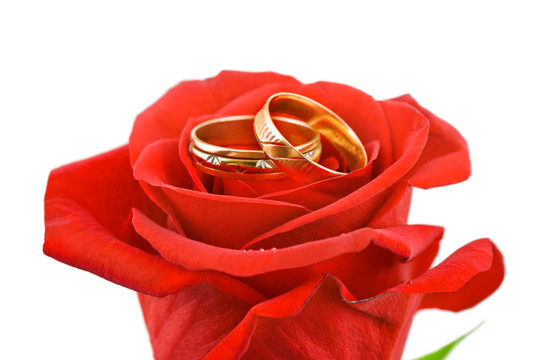 玫瑰和結婚戒指