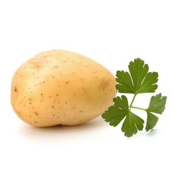 新土豆綠歐芹