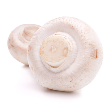 香菇蘑菇