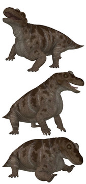 角頭獸