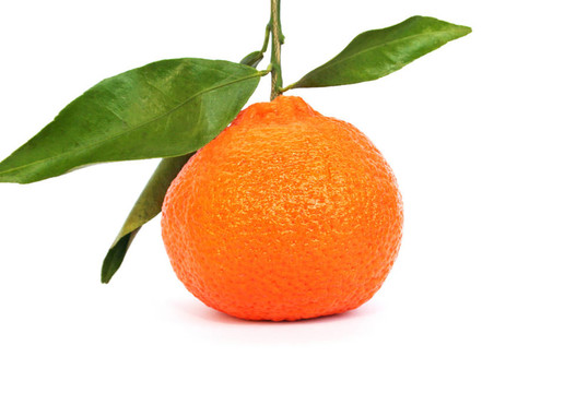 Tangerine夜店