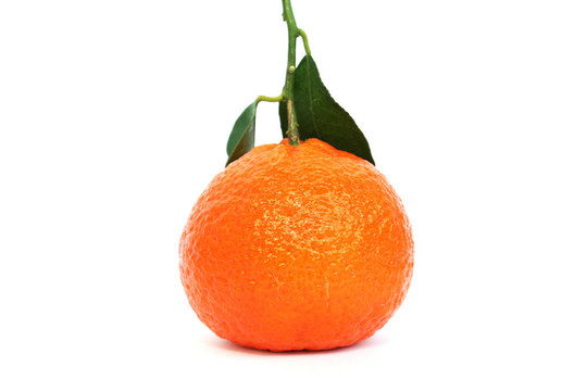 Tangerine夜店