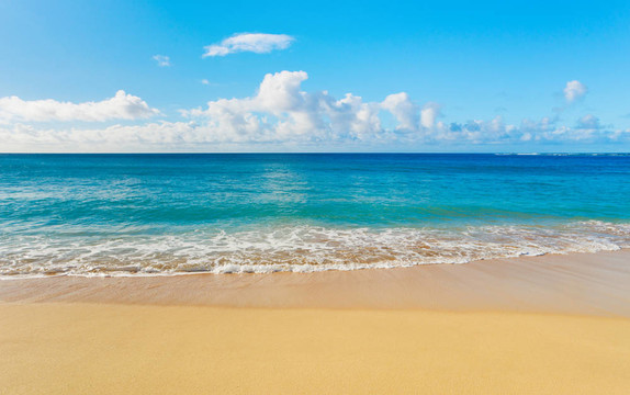 海灘和熱帶海