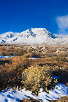 美麗的雪山在sunrsie