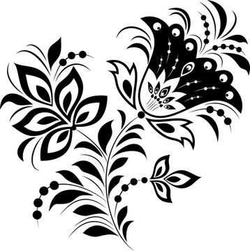 白色背景上的花
